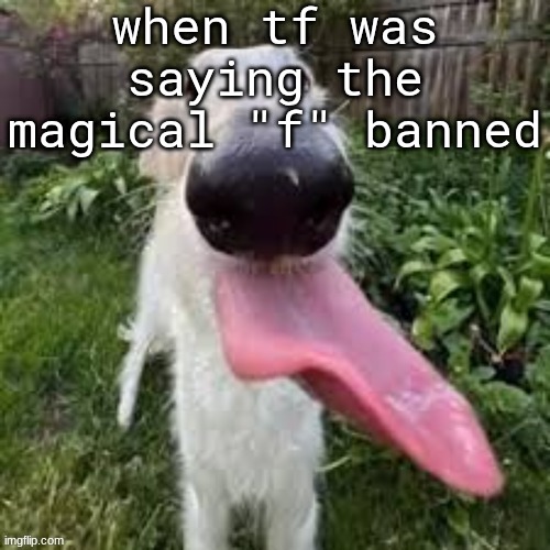 dog | when tf was saying the magical "f" banned | image tagged in dog | made w/ Imgflip meme maker