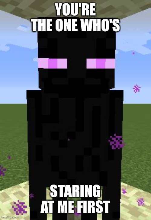 Enderman | YOU'RE THE ONE WHO'S STARING AT ME FIRST | image tagged in enderman | made w/ Imgflip meme maker