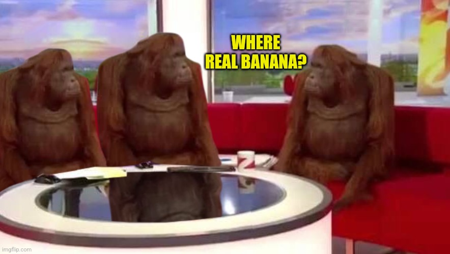 where monkey | WHERE REAL BANANA? | image tagged in where monkey | made w/ Imgflip meme maker