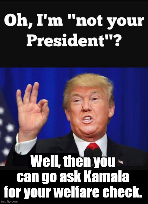 He's right again | Well, then you can go ask Kamala for your welfare check. | image tagged in who,signs the checks | made w/ Imgflip meme maker