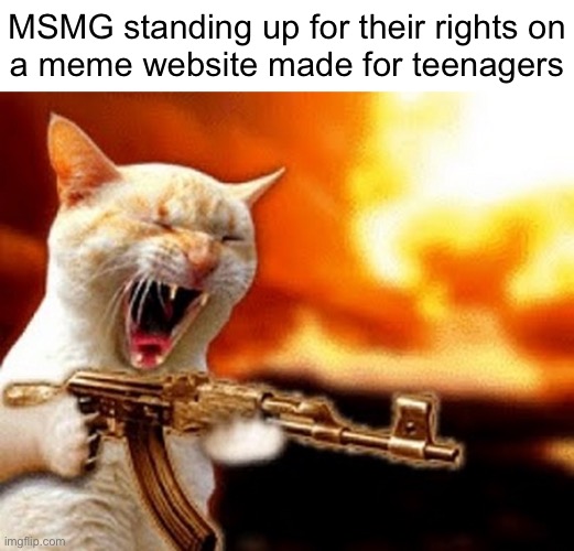 machine gun cat | MSMG standing up for their rights on
a meme website made for teenagers | image tagged in machine gun cat | made w/ Imgflip meme maker