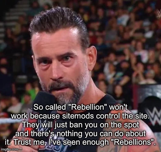 CM Punk | So called "Rebellion" won't work because sitemods control the site. They will just ban you on the spot and there's nothing you can do about it. Trust me, I've seen enough "Rebellions". | image tagged in cm punk | made w/ Imgflip meme maker