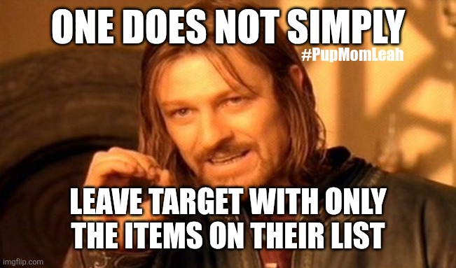 Funny | ONE DOES NOT SIMPLY; #PupMomLeah; LEAVE TARGET WITH ONLY THE ITEMS ON THEIR LIST | image tagged in memes,one does not simply | made w/ Imgflip meme maker