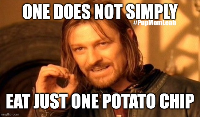 Funny | ONE DOES NOT SIMPLY; #PupMomLeah; EAT JUST ONE POTATO CHIP | image tagged in memes,one does not simply | made w/ Imgflip meme maker