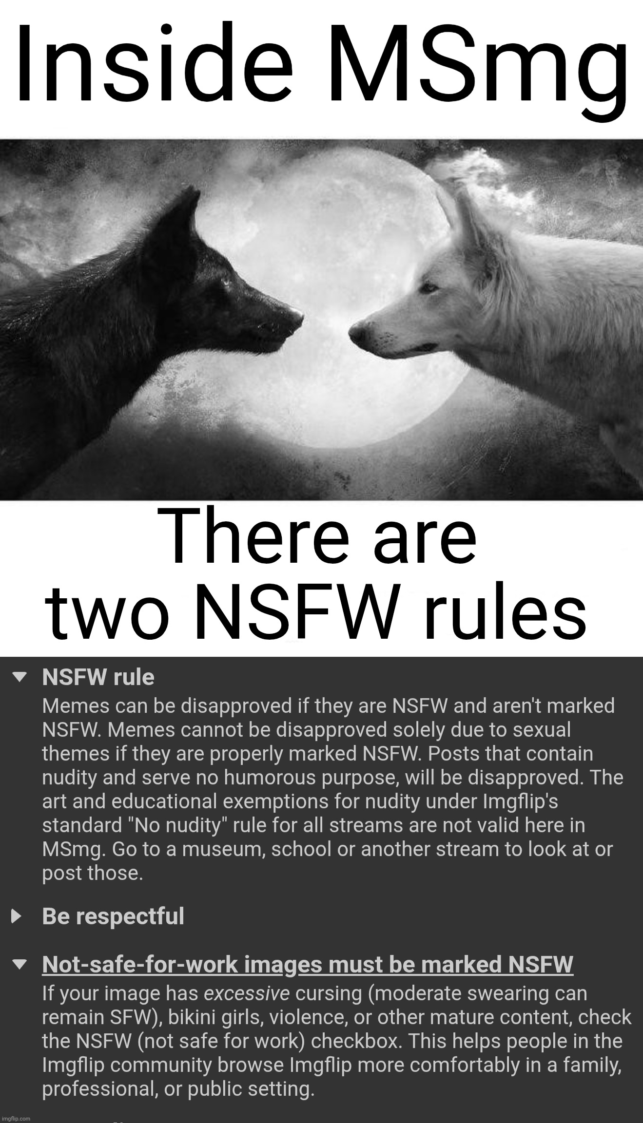 Inside MSmg; There are two NSFW rules | image tagged in two wolves meme | made w/ Imgflip meme maker