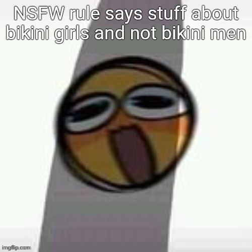PEEN | NSFW rule says stuff about bikini girls and not bikini men | image tagged in peen | made w/ Imgflip meme maker