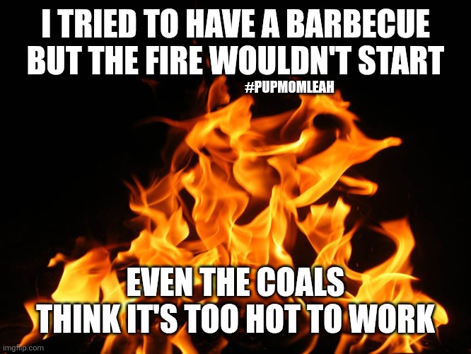 To hot to work | I TRIED TO HAVE A BARBECUE BUT THE FIRE WOULDN'T START; #PUPMOMLEAH; EVEN THE COALS THINK IT'S TOO HOT TO WORK | made w/ Imgflip meme maker