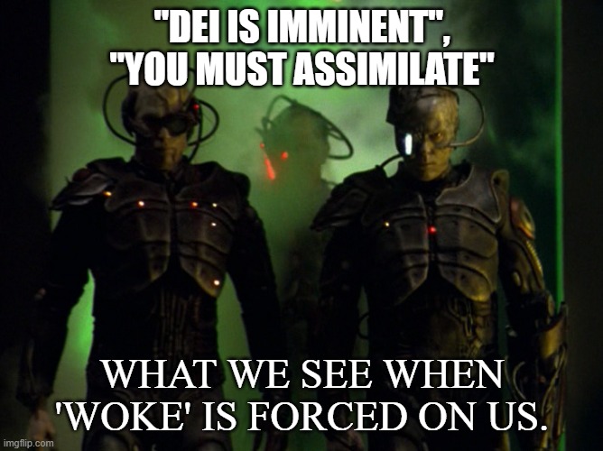 borg_dark_frontier | "DEI IS IMMINENT", "YOU MUST ASSIMILATE"; WHAT WE SEE WHEN 'WOKE' IS FORCED ON US. | image tagged in borg_dark_frontier | made w/ Imgflip meme maker