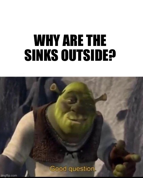 Shrek | WHY ARE THE SINKS OUTSIDE? | image tagged in shrek | made w/ Imgflip meme maker