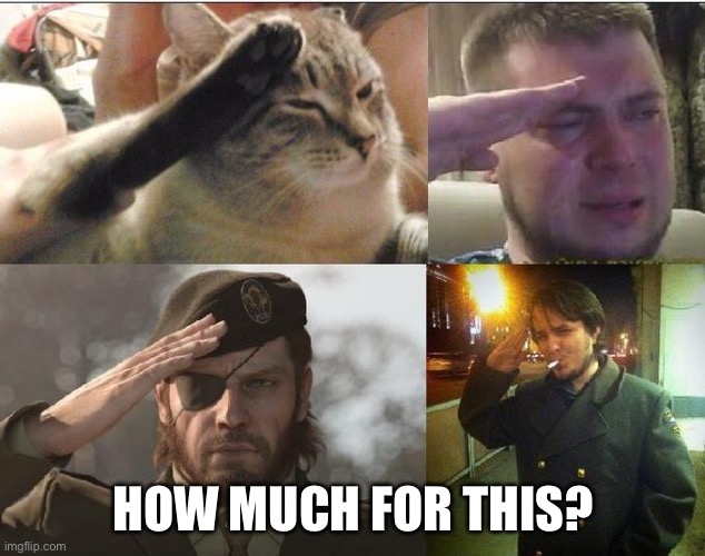 Ozon's Salute | HOW MUCH FOR THIS? | image tagged in ozon's salute | made w/ Imgflip meme maker