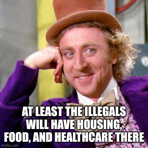Willy Wonka Blank | AT LEAST THE ILLEGALS WILL HAVE HOUSING, FOOD, AND HEALTHCARE THERE | image tagged in willy wonka blank | made w/ Imgflip meme maker