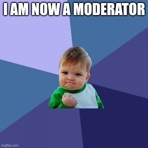Because i am | I AM NOW A MODERATOR | image tagged in memes,success kid,mods | made w/ Imgflip meme maker