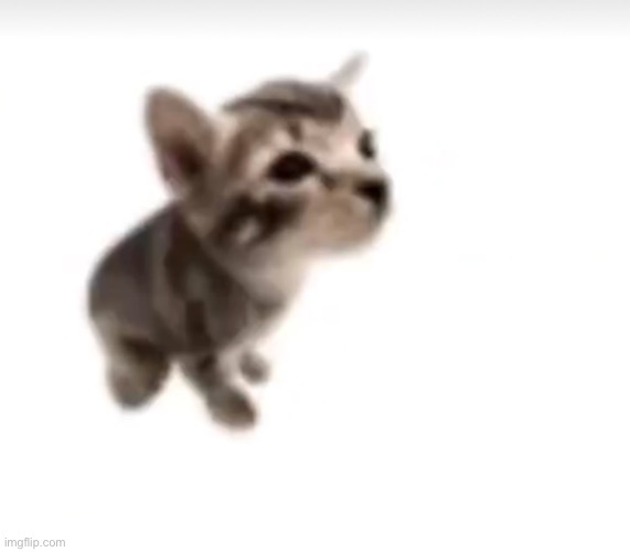 El gatito | image tagged in el gatito | made w/ Imgflip meme maker