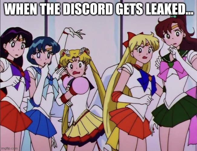 WHAT WAS IN THEIR DISCORD? | WHEN THE DISCORD GETS LEAKED... | image tagged in funny,sailor moon,discord | made w/ Imgflip meme maker