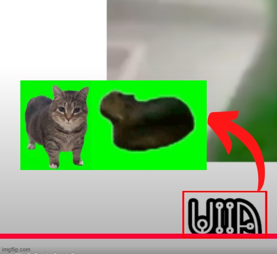 finally made a name soundalike of the UIIA cat | image tagged in memes,uiia,name soundalikes | made w/ Imgflip meme maker
