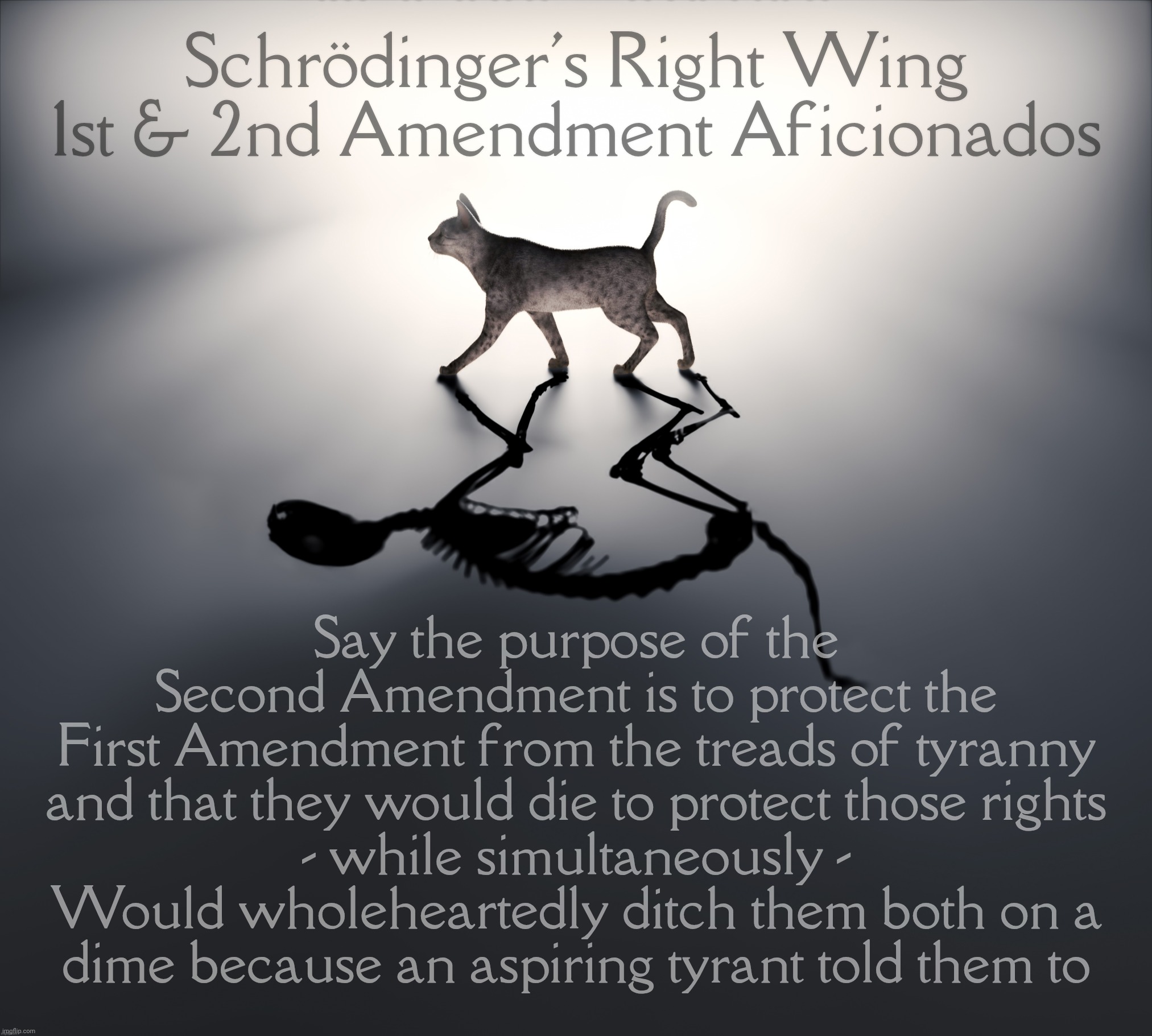 Schrodinger's Cat | Schrödinger's Right Wing 1st & 2nd Amendment Aficionados; Say the purpose of the
Second Amendment is to protect the
First Amendment from the treads of tyranny
and that they would die to protect those rights
- while simultaneously -
Would wholeheartedly ditch them both on a
dime because an aspiring tyrant told them to | image tagged in schrodinger's cat | made w/ Imgflip meme maker