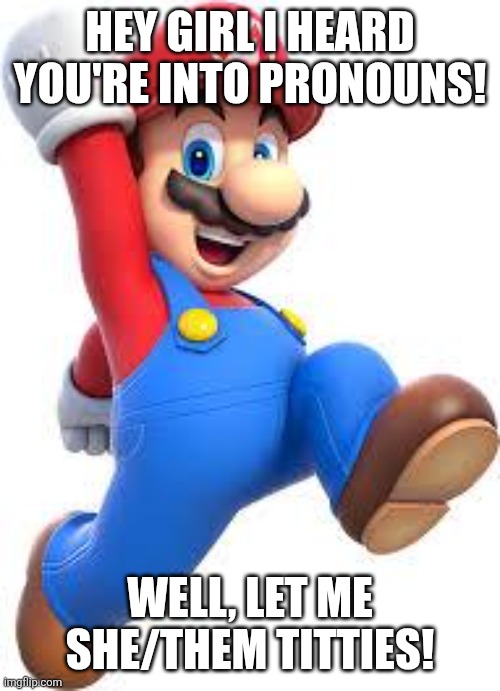 mario | HEY GIRL I HEARD YOU'RE INTO PRONOUNS! WELL, LET ME SHE/THEM TITTIES! | image tagged in mario | made w/ Imgflip meme maker