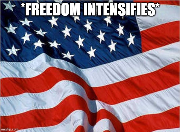 USA Flag | *FREEDOM INTENSIFIES* | image tagged in usa flag | made w/ Imgflip meme maker