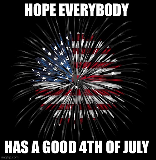 4th of july | HOPE EVERYBODY; HAS A GOOD 4TH OF JULY | image tagged in 4th of july | made w/ Imgflip meme maker