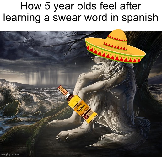 Hola | How 5 year olds feel after learning a swear word in spanish | image tagged in sitting wolf,spanesh,anime,do not question the elevated one | made w/ Imgflip meme maker