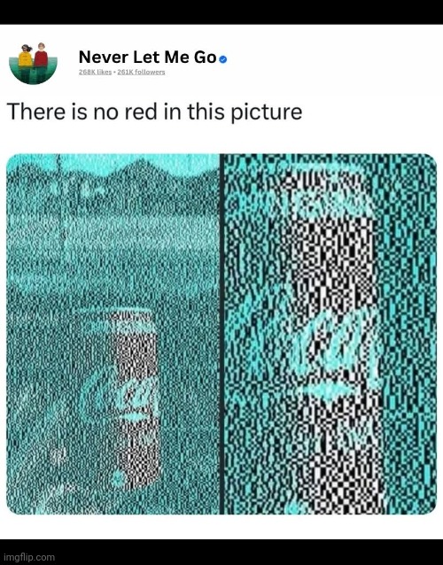 Your brain is lying to you. There is no red. Zoom in and see for yourself! | image tagged in memez,optical illusion,gaslighting,brain | made w/ Imgflip meme maker