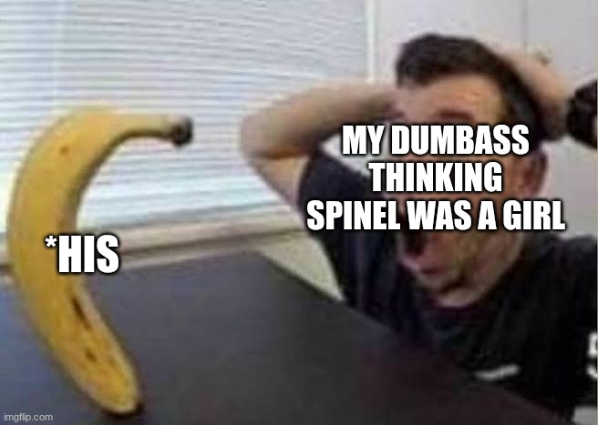 Guy shocked at banana | MY DUMBASS THINKING SPINEL WAS A GIRL *HIS | image tagged in guy shocked at banana | made w/ Imgflip meme maker