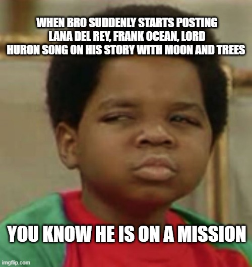 hehe | WHEN BRO SUDDENLY STARTS POSTING LANA DEL REY, FRANK OCEAN, LORD HURON SONG ON HIS STORY WITH MOON AND TREES; YOU KNOW HE IS ON A MISSION | image tagged in suspicious | made w/ Imgflip meme maker