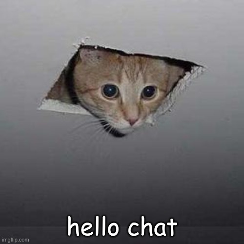 Hello Chat | hello chat | image tagged in memes,ceiling cat | made w/ Imgflip meme maker