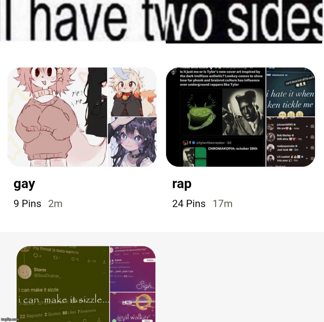do not ask it is midnight and im still awake | image tagged in i have two sides | made w/ Imgflip meme maker