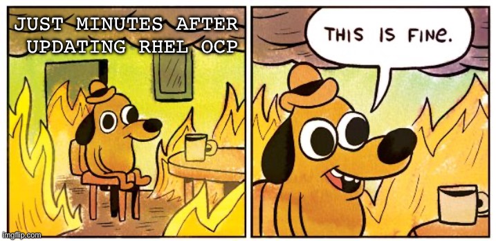 RHEL OCP update | JUST MINUTES AFTER
 UPDATING RHEL OCP | image tagged in memes,this is fine,rhel,ocp,ipdate | made w/ Imgflip meme maker