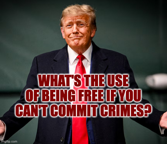 turdy trump | WHAT'S THE USE OF BEING FREE IF YOU CAN'T COMMIT CRIMES? | image tagged in turdy trump | made w/ Imgflip meme maker