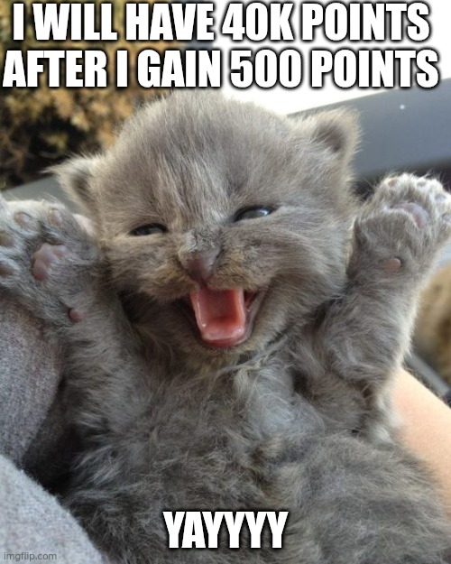 Yay | I WILL HAVE 40K POINTS AFTER I GAIN 500 POINTS; YAYYYY | image tagged in yay kitty | made w/ Imgflip meme maker