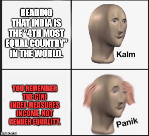 Equality | READING THAT INDIA IS THE "4TH MOST EQUAL COUNTRY" IN THE WORLD. YOU REMEMBER THE GINI INDEX MEASURES INCOME, NOT GENDER EQUALITY. | image tagged in calm panic | made w/ Imgflip meme maker