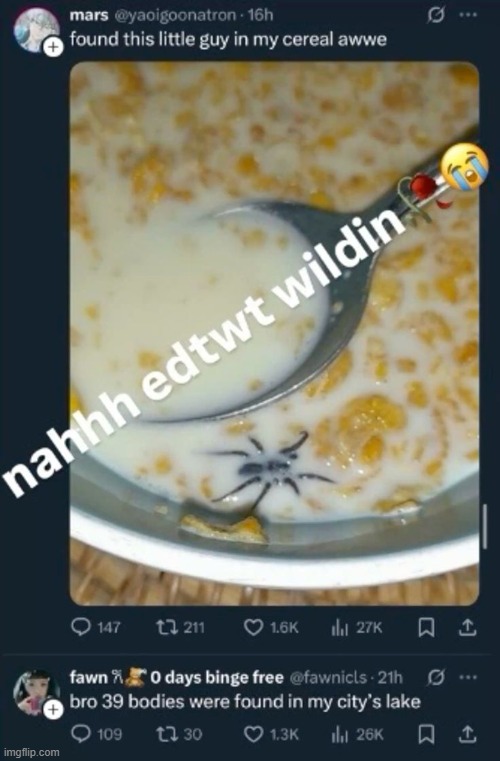 image tagged in memes | made w/ Imgflip meme maker
