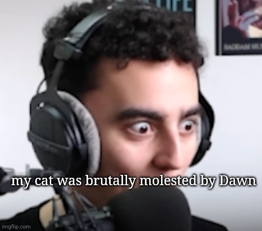 martincitopants shocked | my cat was brutally molested by Dawn | image tagged in martincitopants shocked | made w/ Imgflip meme maker