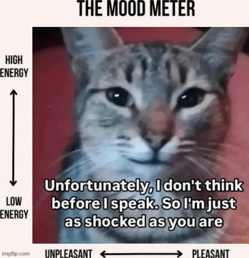 car | image tagged in the mood meter | made w/ Imgflip meme maker