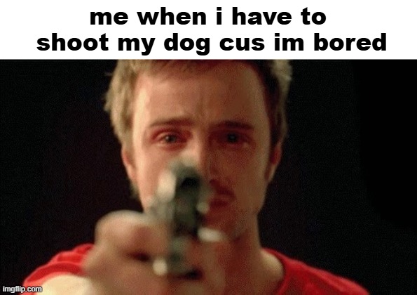 WE (yes we) all did ts | me when i have to
 shoot my dog cus im bored | image tagged in jesse pinkman pointing gun,memes,relatable | made w/ Imgflip meme maker