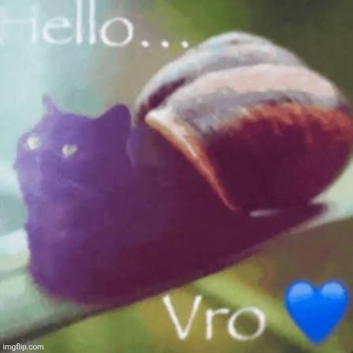 Fuck you | image tagged in memes,fuck you,catsnail,hellovro | made w/ Imgflip meme maker