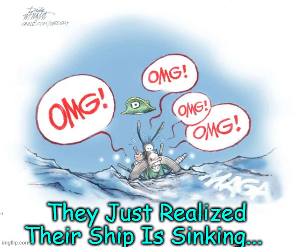 You think they are starting to realize the truth? | They Just Realized Their Ship Is Sinking... | image tagged in time for dems to jump ship | made w/ Imgflip meme maker