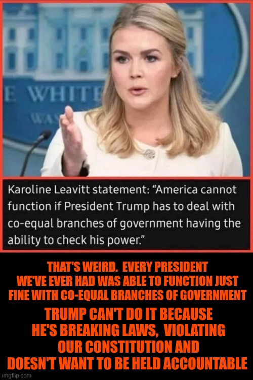 Foxtrot Delta Tango | TRUMP CAN'T DO IT BECAUSE HE'S BREAKING LAWS,  VIOLATING OUR CONSTITUTION AND DOESN'T WANT TO BE HELD ACCOUNTABLE; THAT'S WEIRD.  EVERY PRESIDENT WE'VE EVER HAD WAS ABLE TO FUNCTION JUST FINE WITH CO-EQUAL BRANCHES OF GOVERNMENT | image tagged in memes,maga,nazis,special kind of stupid,trump is a terrorist,trump is a convicted rapist | made w/ Imgflip meme maker