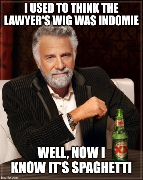 The Most Interesting Man In The World | I USED TO THINK THE LAWYER'S WIG WAS INDOMIE; WELL, NOW I KNOW IT'S SPAGHETTI | image tagged in memes,the most interesting man in the world | made w/ Imgflip meme maker