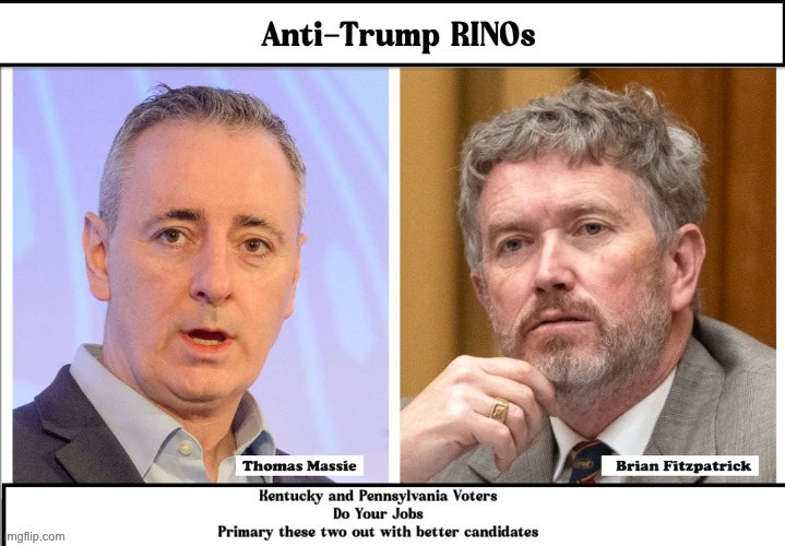 Get Them Out in the Primary | image tagged in massie,fitzpatrick | made w/ Imgflip meme maker