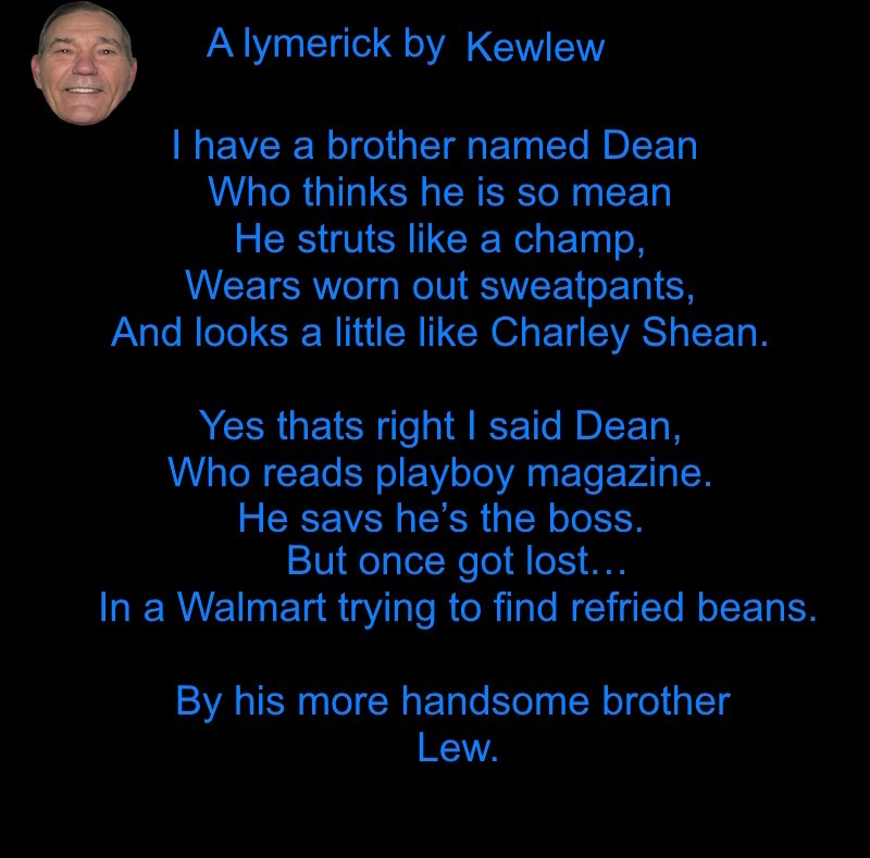 A limerick by kewlew | image tagged in limerick,kewlew | made w/ Imgflip meme maker
