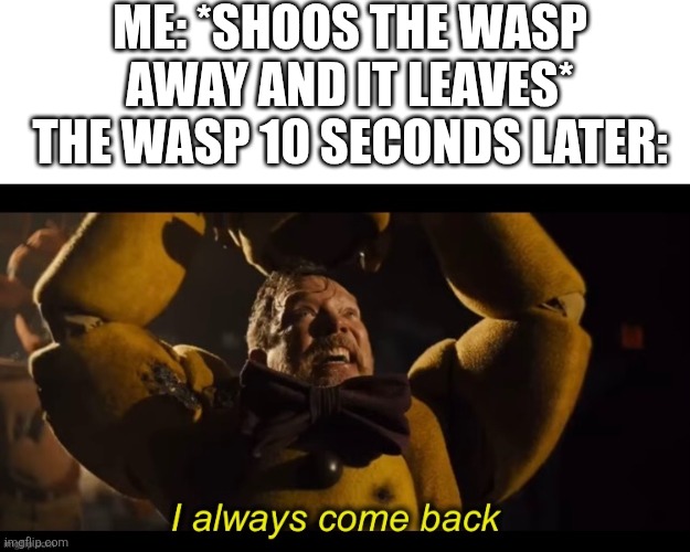 It's true | ME: *SHOOS THE WASP AWAY AND IT LEAVES*
THE WASP 10 SECONDS LATER: | image tagged in i always come back,wasp,summer,memes,funny,relatable | made w/ Imgflip meme maker