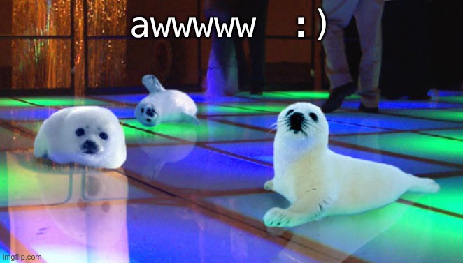 cute | awwwww :) | image tagged in stop clubbing baby seals | made w/ Imgflip meme maker