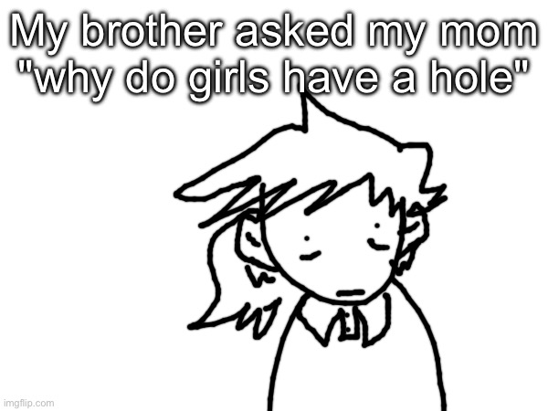 Im genuinely so flabbergasted by that i even dreew the ponytail the wrong way | My brother asked my mom "why do girls have a hole" | made w/ Imgflip meme maker