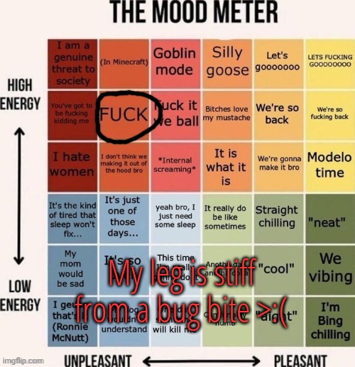 Morning | My leg is stiff from a bug bite >:( | image tagged in the mood meter | made w/ Imgflip meme maker