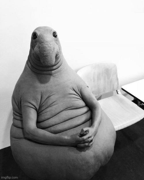 Homunculus loxodontus | image tagged in homunculus loxodontus | made w/ Imgflip meme maker