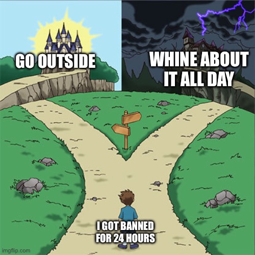 Two Paths | WHINE ABOUT IT ALL DAY; GO OUTSIDE; I GOT BANNED FOR 24 HOURS | image tagged in two paths | made w/ Imgflip meme maker