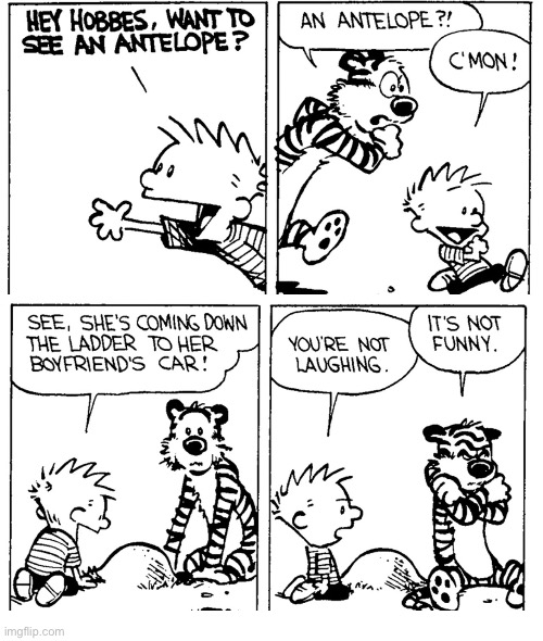 Calvin & Hobbes | image tagged in comics,calvin and hobbes,ant hill,antelope | made w/ Imgflip meme maker